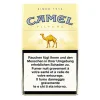 Camel